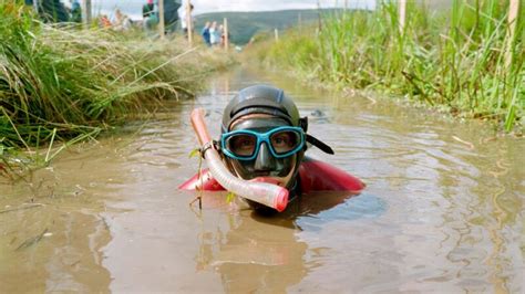 diving betting